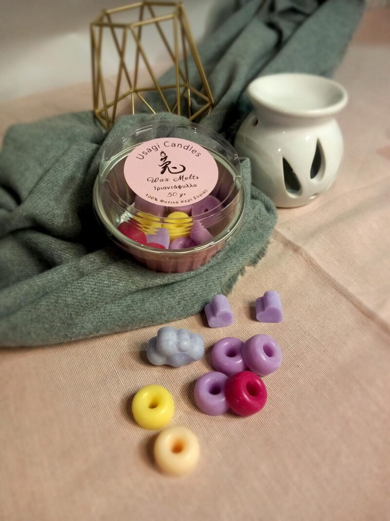 Wax Melts - Image 2
