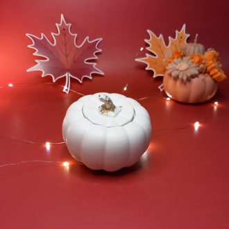 Κολοκύθα Με Κερί