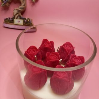 Κήπος Με Τουλίπες