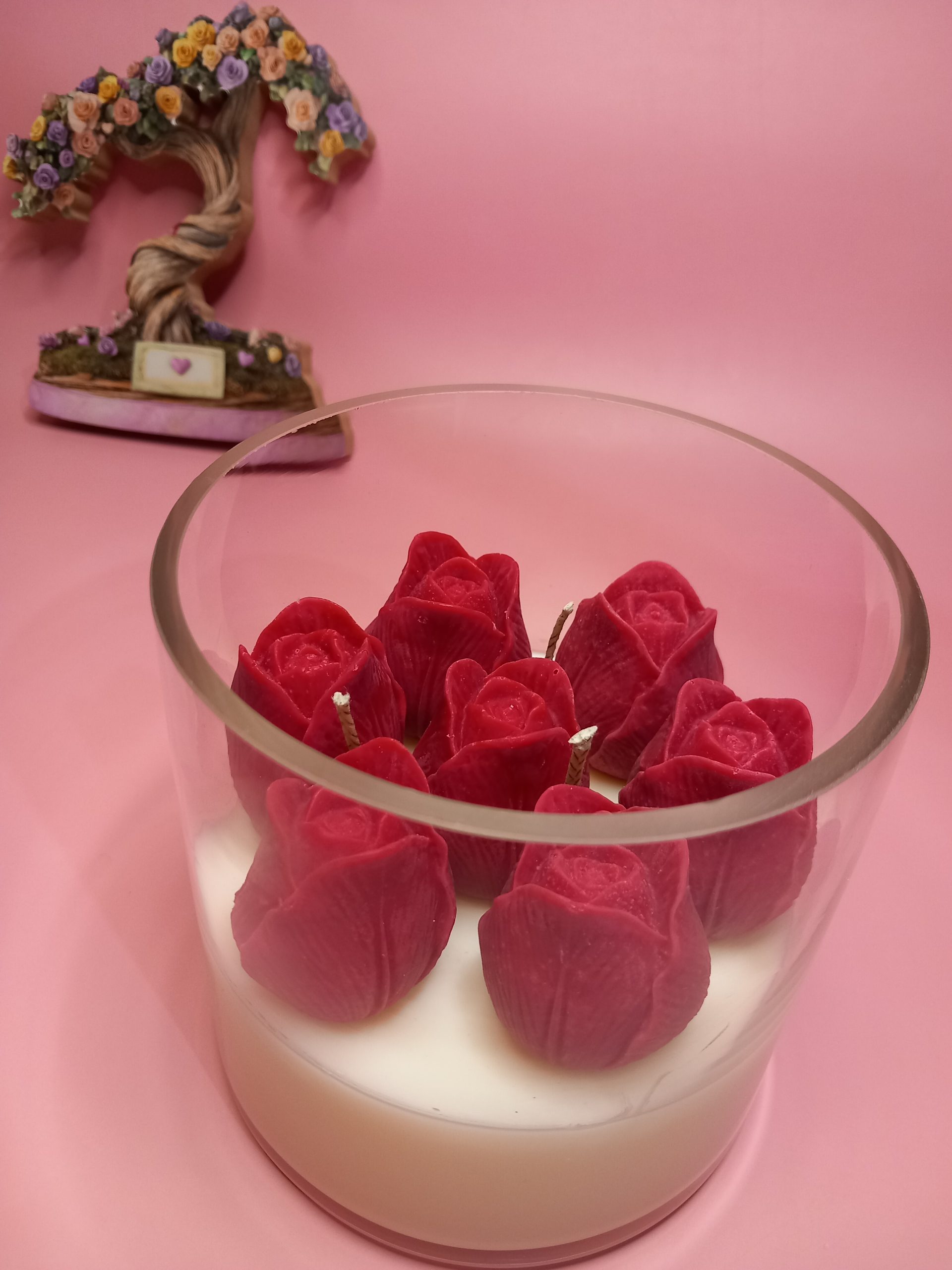 Κήπος Με Τουλίπες