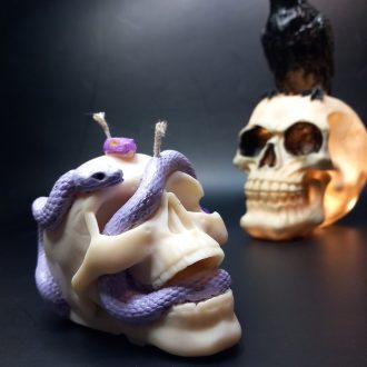 Νεκροκεφαλή με Φίδια