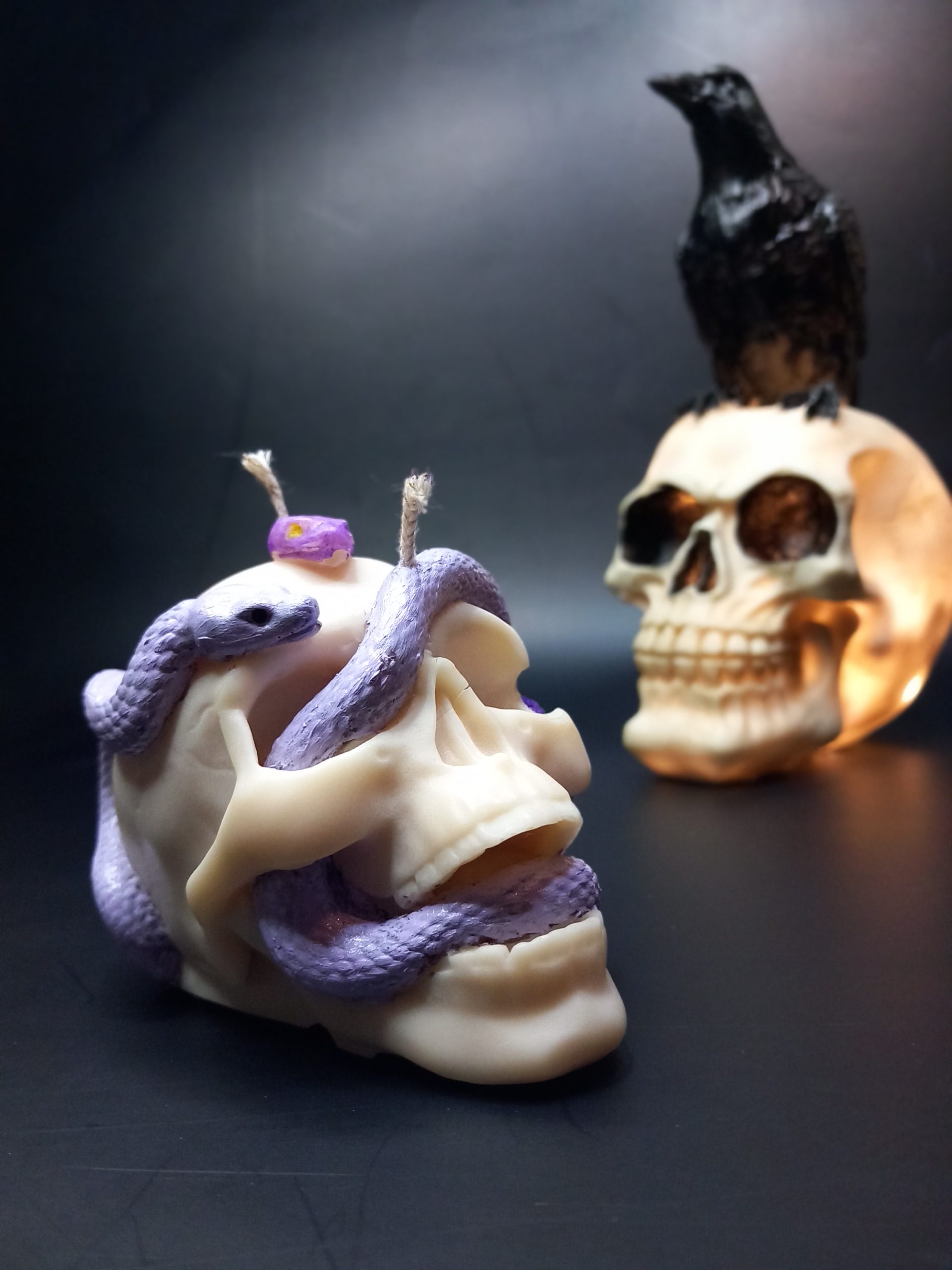 Νεκροκεφαλή με Φίδια