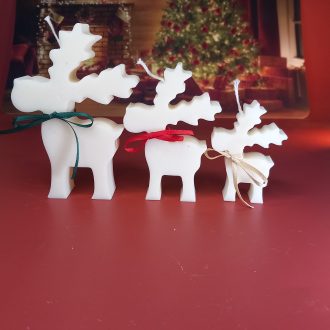 Σετ Τάρανδοι