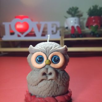 Wise Love Owl